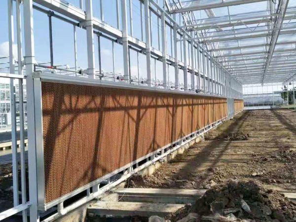 濕簾養(yǎng)護(hù)的方法有哪些？